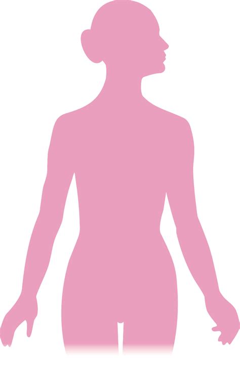Silhouette Woman Clip Art Silhoutte Png Download 8001213 Free