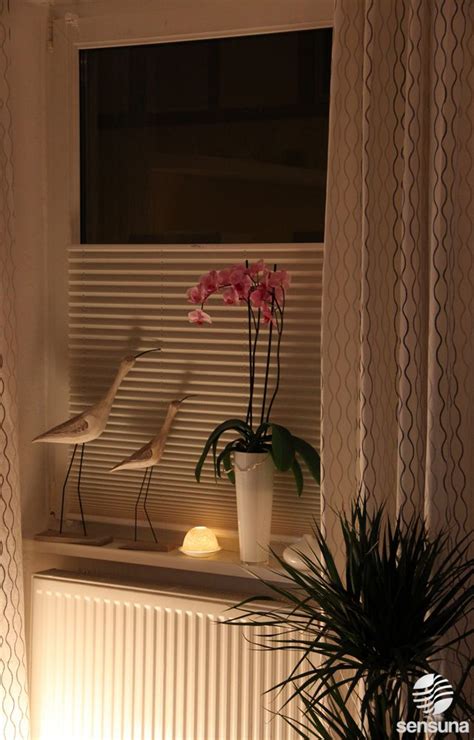 Ihren neuen sichtschutz für fenster innen mit plissee können sie in vielen verschiedenen farben und designs wählen. Plissees zur Verdunkelung des Raumes - in vielen Farben ...