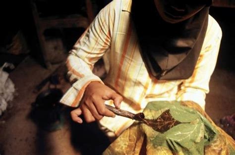 Batik Tembakau National Geographic