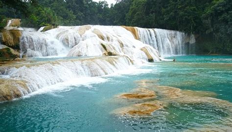 Agua Azul Waterfalls Cascadas De Agua Azul Chiapas Tickets And Tours