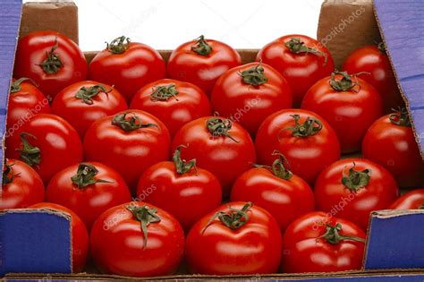 Tomato In A Box Stock Photo Image By Grocap