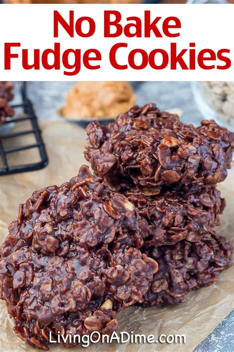No Bake Fudge Cookies Recipe Easy Recipe That Kids Will Love