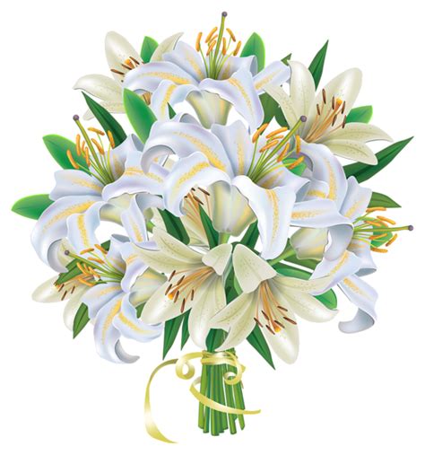 Photo about beautiful bouquet of flowers isolated on white background. Lily flowered tulip clipart - Clipground