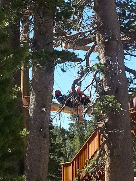 What is the reason to do it yourself? Tahoe Ski Resort Enticing Summer Visitors With New Adventure Park - capradio.org
