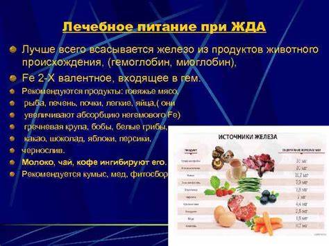 Анемия лечение диетой Анемия: как повысить гемоглобин диетой * клиника диана в санкт-петербурге Анемия: как повысить гемоглобин диетой * клиника диана в санкт-петербурге Анемия лечение диетой