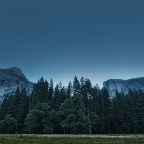 Trees Forest Mountains Usa California Yosemite Valley National Park