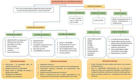 Historia Natural Del Dengue Mapa Mental Amostra Vrogue Co