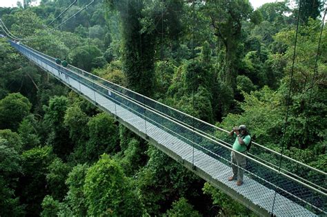 bukit timah nature reserve