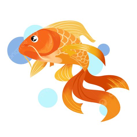 Goldfish Hd Transparent Goldfish Fish May You Always Get More Than