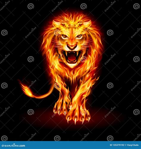 Fire Lion Stock Vector Illustration Of Burn Africa