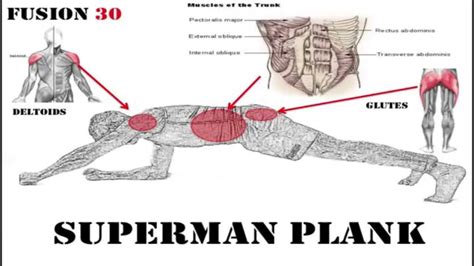 They consider this static exercise to be great for stamina and for improving the abs. Superman plank - YouTube