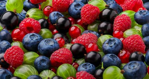 Berries Colorful Assorted Background Stock Photo Image Of Fresh