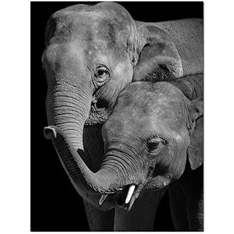 Levvarts Elephant Canvas Printportrait Of Beautiful Elephant In The