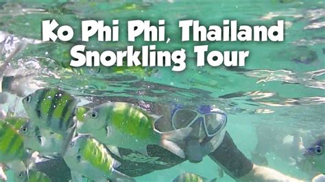 Ko Phi Phi Snorkling Tour Blacktip Reef Sharks And Turtle Youtube