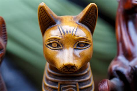 In case you want to know what other pet owners are choosing for their female cat names, here are the top 20 most popular female cat names, based on nationwide's pet insurance. Ancient Egyptians Weren't the Only Ones Who Worshipped Cat ...