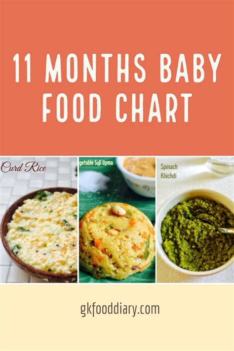 9 Month Old Baby Food Recipes Indian   Taste Foody