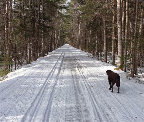 Hiking In Maine With Kelley 12315 Snowmobile Trail Near Dover Foxcroft