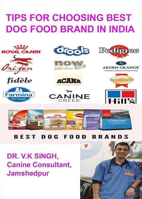 Tips For Choosing Best Dog Food Brand In India