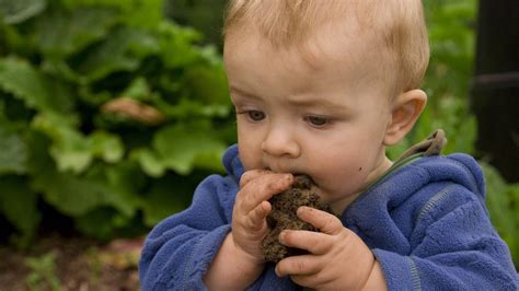 Eat Dirt Why On Earth Would You Do That The Irish Times