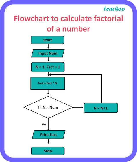 Computer Science Draw A Flowchart To Calculate Factorial Of A Number