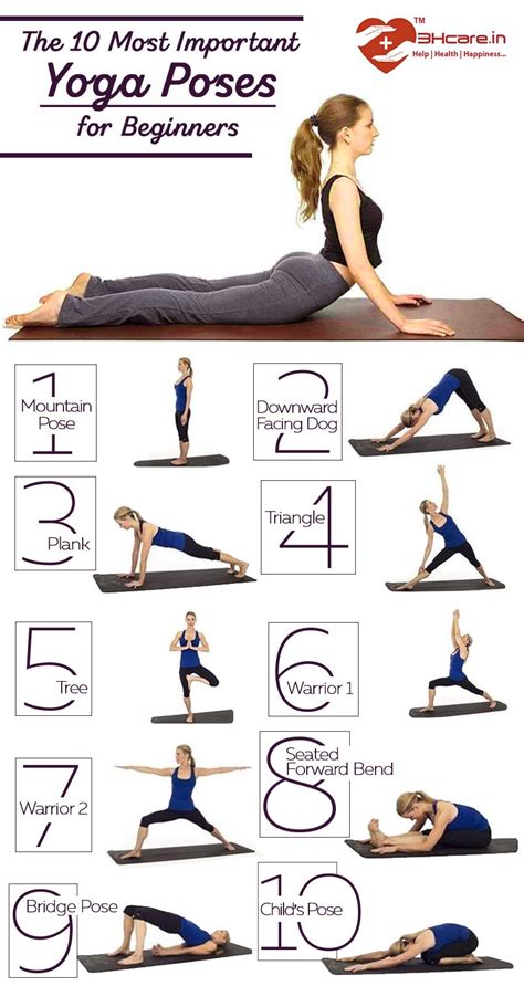 10 Most Important Yoga Poses For Beginners Yogawalls