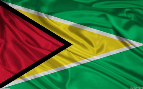 National Flag Of Guyana RankFlags Com Collection Of Flags