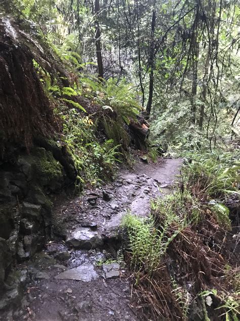 Steep Ravine Trail Rtrailrunning