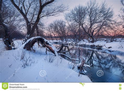 Winter Forest On The River Colorful Landscape At Sunset Stock Photo