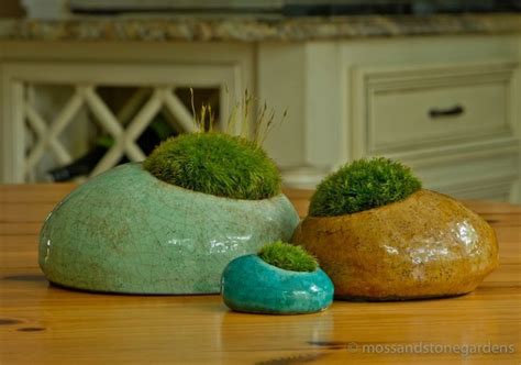 These Glazed Moss Planters Are Pretty Freaking Cute Moss Planter