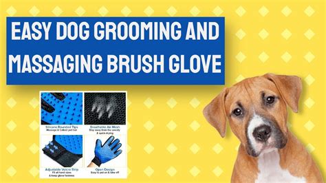 The Dog Brush Massage And Grooming Glove How To Safely Brush Your Dog