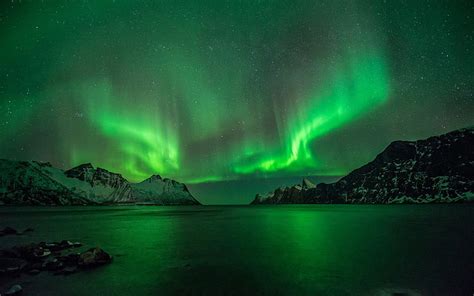 Cielo Verde Aurora Boreal Noche Aurora Boreal Noruega Lofoten