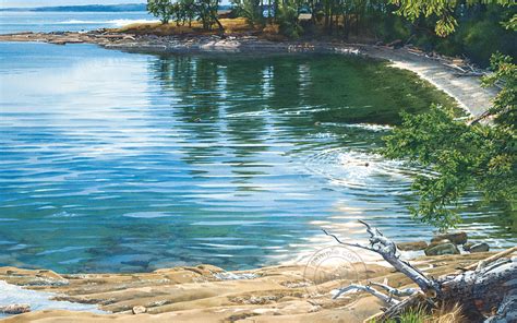 Seals In The Bay — Watercolors By Carol Evans Watercolor Giclee