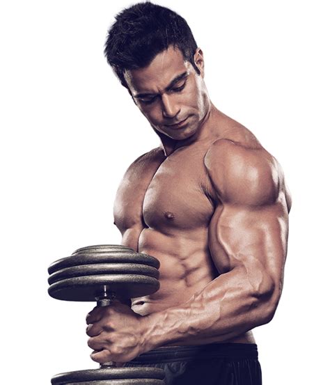 Muscle Fitness Png And Free Muscle Fitnesspng Transparent Images 74195 Pngio