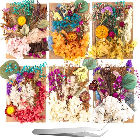 Buy 2 Random Boxes Pressed Dried Flowers Dried Flowers For Resin Real