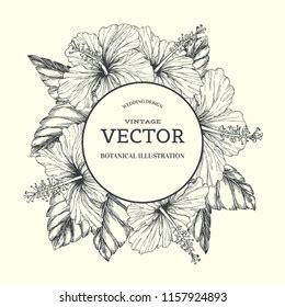 Vector Vintage Background Tropical Floral Border Stock Vector Royalty