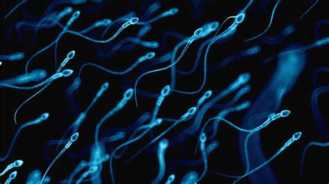 Uh Oh Male Sperm Counts Are Dropping Big Time Metro Us