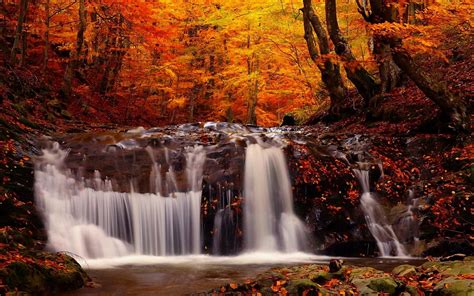 Waterfall On The Rocks In The Autumn Forest Wallpapers And