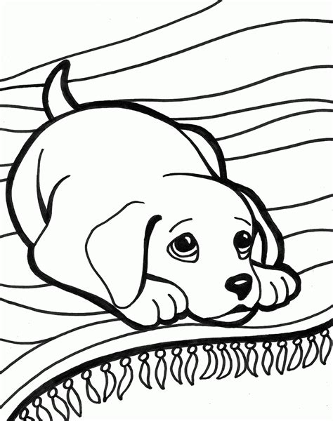 We have over 50 really cute designs that will help you occupy and educate your young children and students. Coloriage d'un chien imprimer | Chien coloriage, Coloriage ...