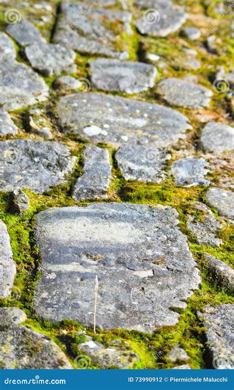 Stones Of An Ancient Path And Moss Stock Photo Image Of Countryside