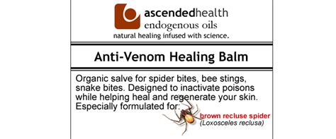 Brown Recluse Spider Bite Treatment