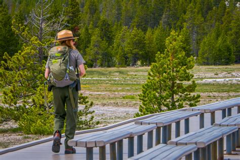 yellowstone montana usa may 24 2018 outdoor view of female park ranger wearing a green