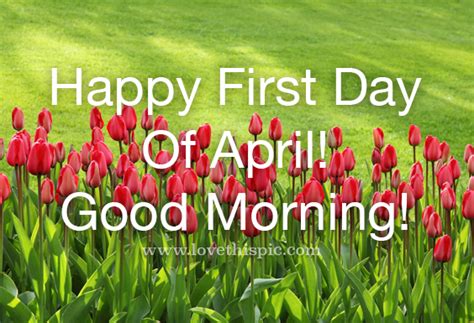 Red Tulip Happy First Day Of April Image Happy April Quotes April