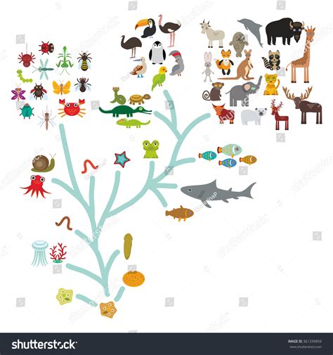 Darwin is best known for his groundbreaking book, on the origin of species, published in 1859, that convincingly argued the theory of species evolution. Evolution Biology Scheme Evolution Animals Isolated Stock Illustration 361339859 - Shutterstock