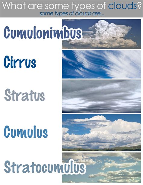 Types Of Clouds Worksheet Weather Science Clouds Earth And Space