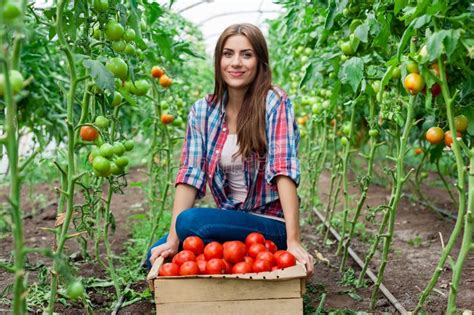 Trabajador De Mujeres Sonriente Joven De La Agricultura Imagen De