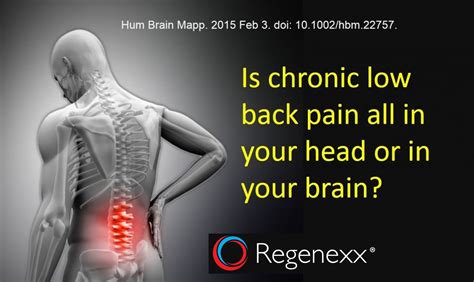 Chronic Low Back Pain Is In Your Back And In Your Brain
