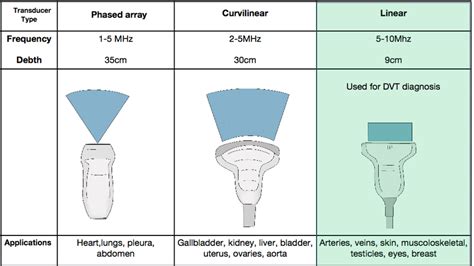 The Three Types Of Transducers Used In Point Of Care Ultrasound