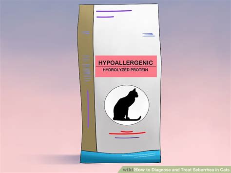 How To Diagnose And Treat Seborrhea In Cats 15 Steps