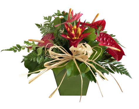 Tropical Mixed Flower Arrangements Koolau Farmers