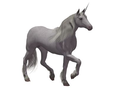 Medieval Clipart Unicorn Medieval Unicorn Transparent Free For